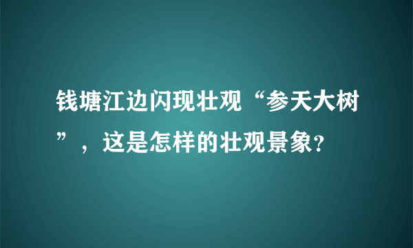 钱塘江边闪现壮观“参天大树”，这是怎样的壮观景象？