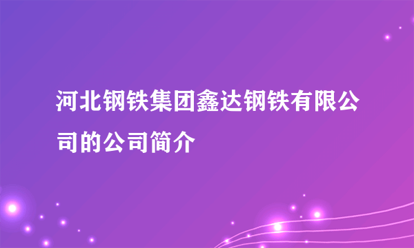 河北钢铁集团鑫达钢铁有限公司的公司简介