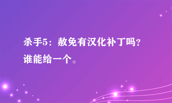 杀手5：赦免有汉化补丁吗？谁能给一个。