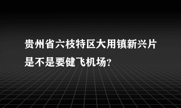 贵州省六枝特区大用镇新兴片是不是要健飞机场？