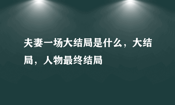 夫妻一场大结局是什么，大结局，人物最终结局