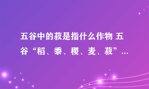 五谷中的菽是指什么作物 五谷“稻、黍、稷、麦、菽”分别指的是什么