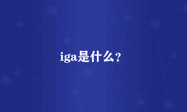 iga是什么？