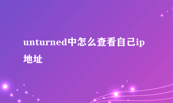 unturned中怎么查看自己ip地址