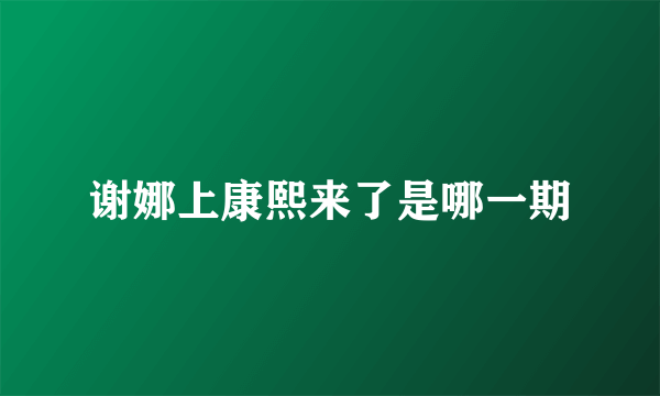 谢娜上康熙来了是哪一期