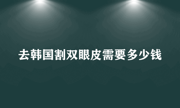 去韩国割双眼皮需要多少钱