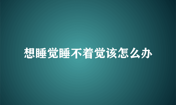 想睡觉睡不着觉该怎么办