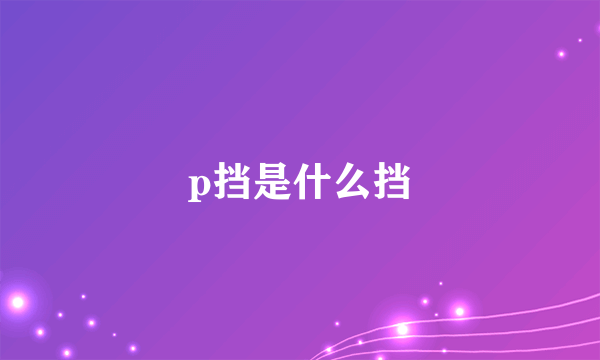 p挡是什么挡