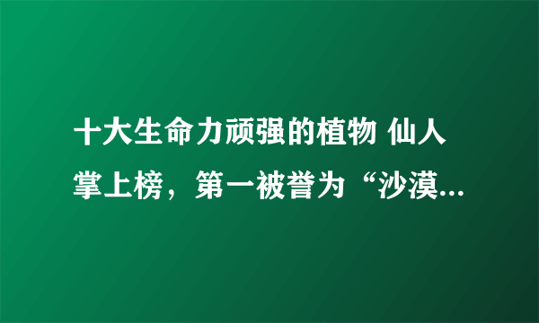 十大生命力顽强的植物 仙人掌上榜，第一被誉为“沙漠守护神”