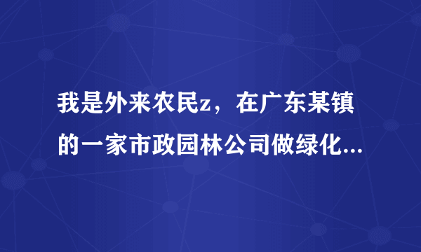 我是外来农民z，在广东某镇的一家市政园林公司做绿化工，自去年7月1日起承包了一条路段的绿化带责任区，至今沒有签定书面劳动合同，没买社保，现通知不承包给我做了，我可以向公司提出双倍的工资赔偿吗？还有我自已买的工具可否赔损吗？