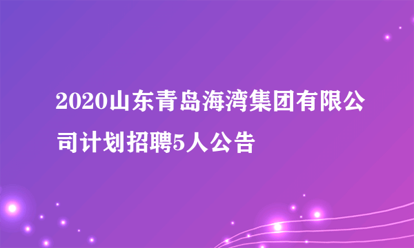 2020山东青岛海湾集团有限公司计划招聘5人公告