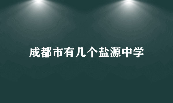 成都市有几个盐源中学