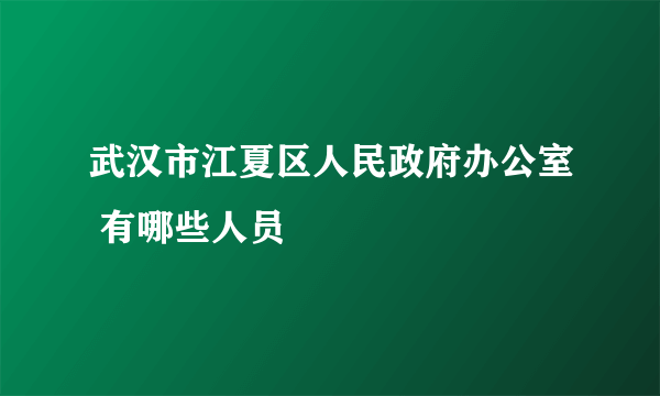 武汉市江夏区人民政府办公室 有哪些人员