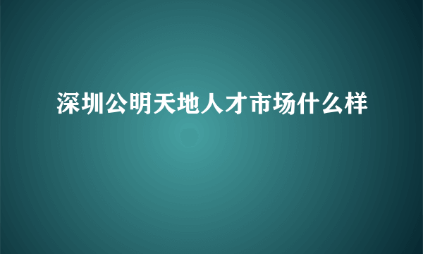 深圳公明天地人才市场什么样