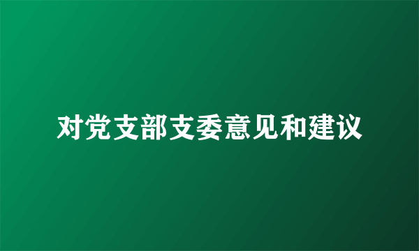 对党支部支委意见和建议