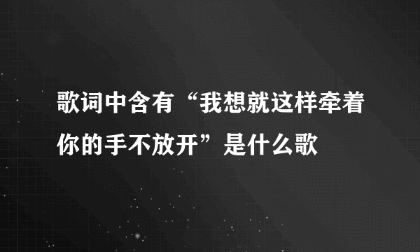 歌词中含有“我想就这样牵着你的手不放开”是什么歌