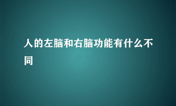 人的左脑和右脑功能有什么不同