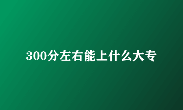 300分左右能上什么大专