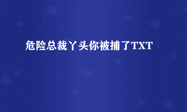 危险总裁丫头你被捕了TXT