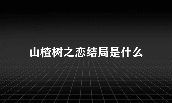 山楂树之恋结局是什么