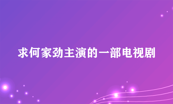 求何家劲主演的一部电视剧