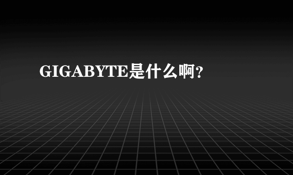 GIGABYTE是什么啊？