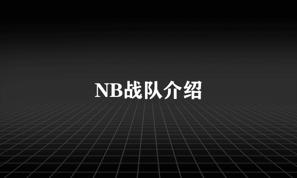 NB战队介绍