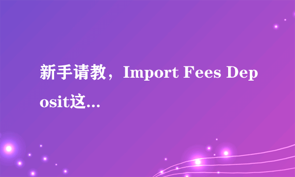 新手请教，Import Fees Deposit这是什么费用