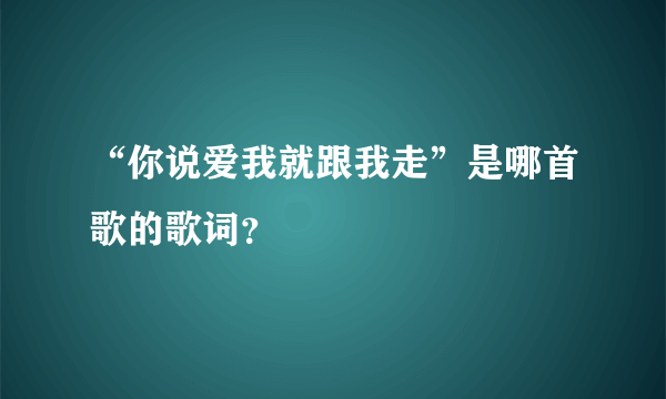 “你说爱我就跟我走”是哪首歌的歌词？