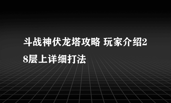 斗战神伏龙塔攻略 玩家介绍28层上详细打法