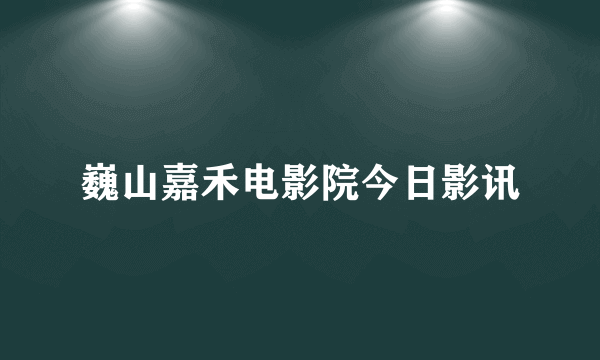 巍山嘉禾电影院今日影讯