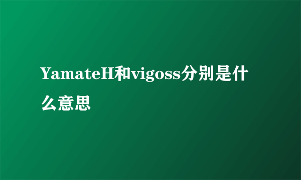 YamateH和vigoss分别是什么意思