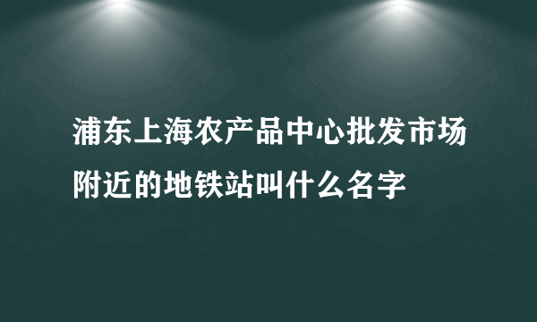 浦东上海农产品中心批发市场附近的地铁站叫什么名字