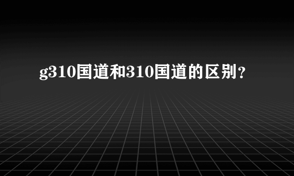 g310国道和310国道的区别？