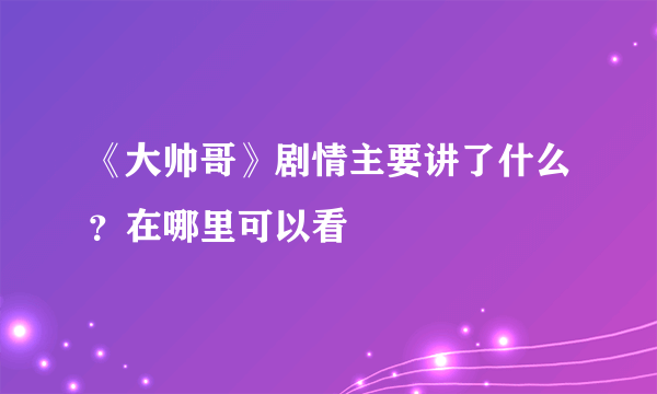 《大帅哥》剧情主要讲了什么？在哪里可以看