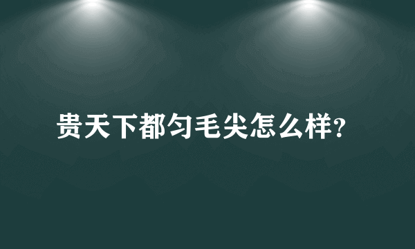 贵天下都匀毛尖怎么样？