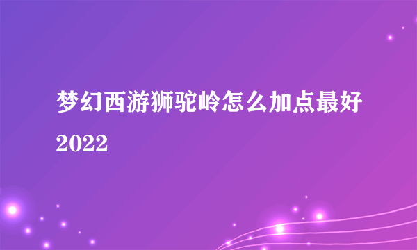 梦幻西游狮驼岭怎么加点最好2022