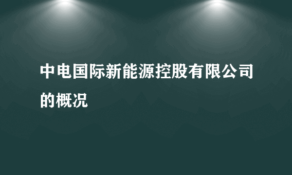 中电国际新能源控股有限公司的概况