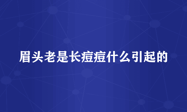 眉头老是长痘痘什么引起的