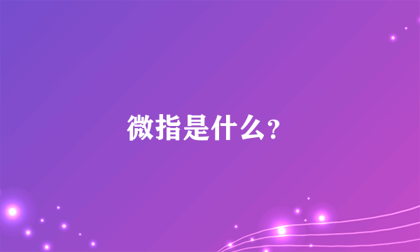 微指是什么？