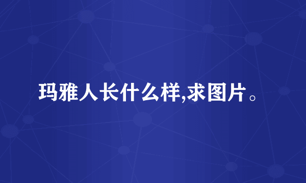 玛雅人长什么样,求图片。