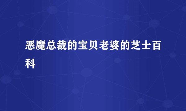 恶魔总裁的宝贝老婆的芝士百科