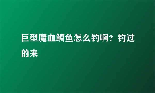 巨型魔血鲷鱼怎么钓啊？钓过的来