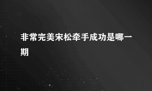 非常完美宋松牵手成功是哪一期