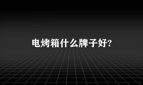 电烤箱什么牌子好?