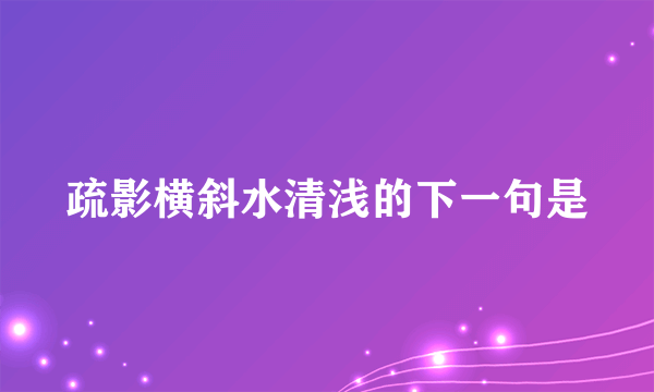 疏影横斜水清浅的下一句是