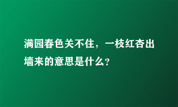 满园春色关不住，一枝红杏出墙来的意思是什么？