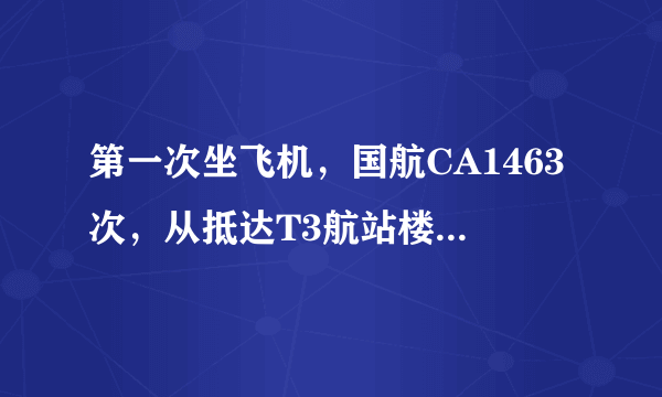 第一次坐飞机，国航CA1463次，从抵达T3航站楼开始整个过程该怎么做，什么个流程，该注意什么？