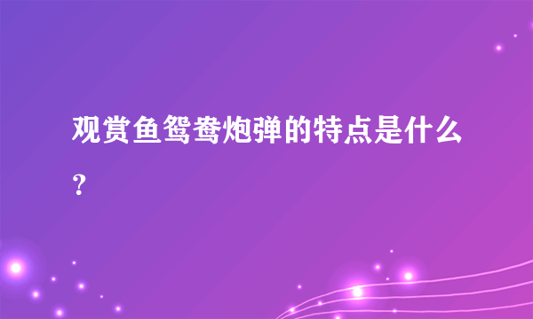 观赏鱼鸳鸯炮弹的特点是什么？