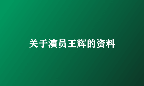 关于演员王辉的资料